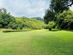 -南宁良凤江国家森林公园