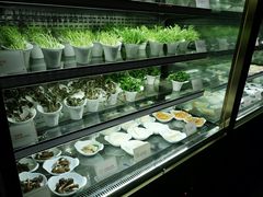 -半岛翡丽海鲜自助餐厅(观风亭店)