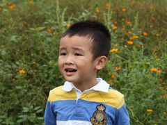 -北京东方普罗旺斯薰衣草庄园