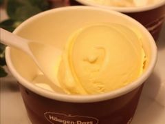 芒果单球-哈根达斯(武汉天地店)