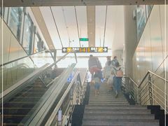 -威海大水泊国际机场