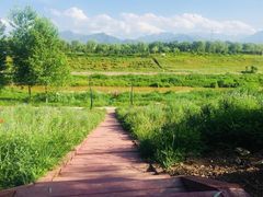 -洨河生态公园