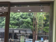 -瑞鹏宠物医院·夜间急症·心超·猫科(祖庙分店)