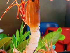 -Mr·Fish鱼鲜生海鲜放题(银泰in99店)
