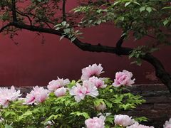 -北京市劳动人民文化宫(太庙)