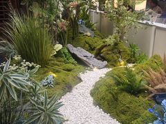 -狮王府淮扬菜(夫子庙老门东店)