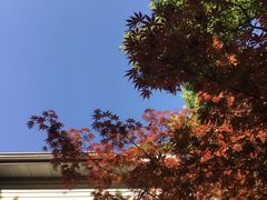 -上海虹桥迎宾馆