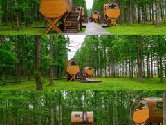 -黄海国家森林公园