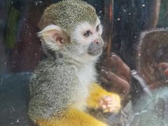 -西安秦岭野生动物园