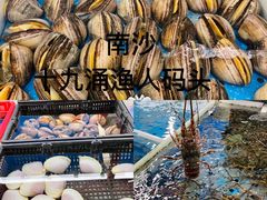 -南沙十九涌渔人码头-南门