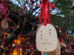 -杭州乐园