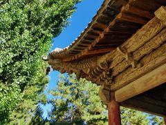 -张掖大佛寺景区