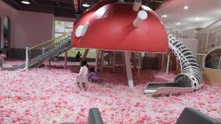 -宝燕乐园(春申店)