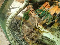 -大连森林动物园