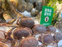 -亚马逊蒸汽活海鲜自助(LCM置汇旭辉广场店)