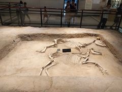 -洛阳周王城天子驾六博物馆