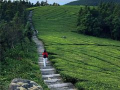 -东钱湖旅游度假区