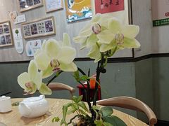 -佛有缘素食馆·荔湾老字号(陈家祠首店)