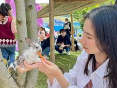 -芜湖新华联大白鲸海洋公园