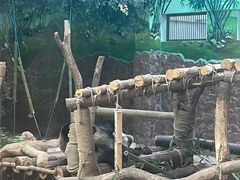 -黔灵山公园