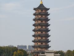 -葛仙湖公园