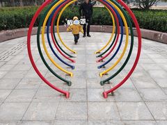 -大兴滨河森林公园