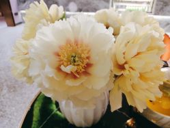 -花隐·美芙炫海菲秀皮肤管理中心