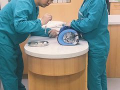 -联合动物医院(光谷诊疗中心)