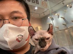 -BABIT巴比特宠物(MOMOPARK店)