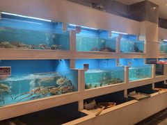 -富黎华海鲜大酒楼(正大广场店)