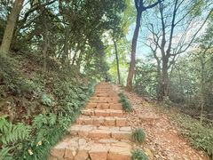 -杭州半山国家森林公园