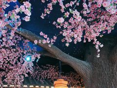 -荷塘秋月·本帮江浙菜(国权路店)