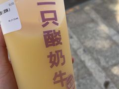 -一只酸奶牛(春熙路店)