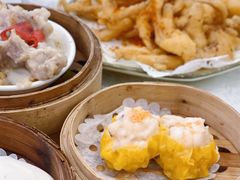 -沙田新强记烧鹅海鲜酒家