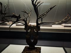 -荆州博物馆