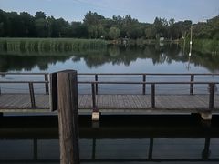 -前关湿地公园