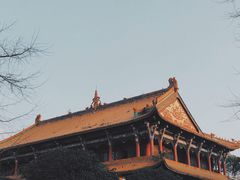 -温江公园