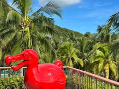 -日落吧·海景咖啡厅·餐酒吧·鸡尾酒·下午茶·乐队表演·浪漫夕阳·三亚文华东方酒店