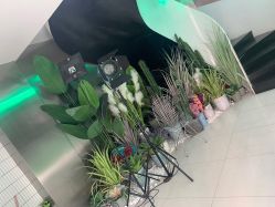 -LESSMORE科技头皮理容中心