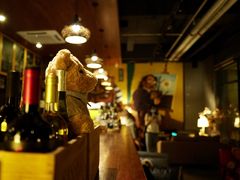 -咖法森林·咖啡  酒吧(天河店)