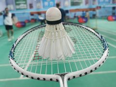 -阳光羽毛球馆(马家龙店)