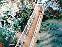 -正佳雨林生态植物园