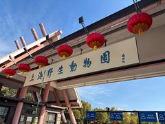 -上海野生动物园老虎餐厅