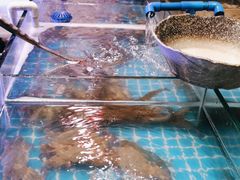 -领鲜活海鲜榴莲自助火锅(东门店)