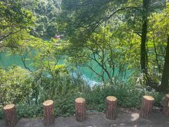 -鼎湖山风景区