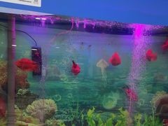 -雅悦齿科(顾村公园店)