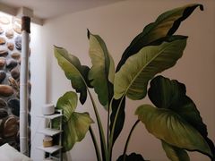 -北里·4k影院式足疗SPA馆(观音桥店)