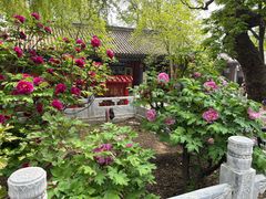 -潭柘寺景区