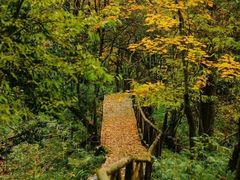 -丽江泸沽湖景区