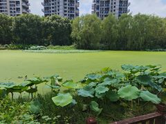 -世外桃源农庄·德清土菜(兴康南路店)
